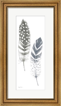 Framed Feather Sketches VIII Blue Gray Print