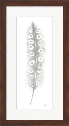 Framed Feather Sketches VII Green Gray Print
