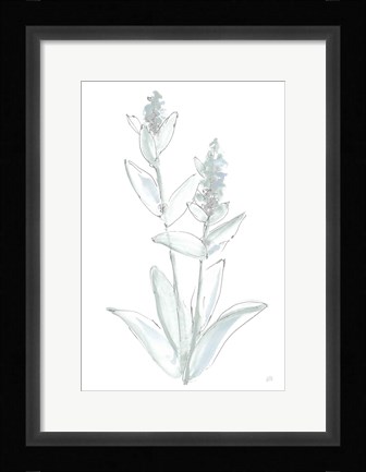 Framed Lambs Ear Sage IV Bleached Print