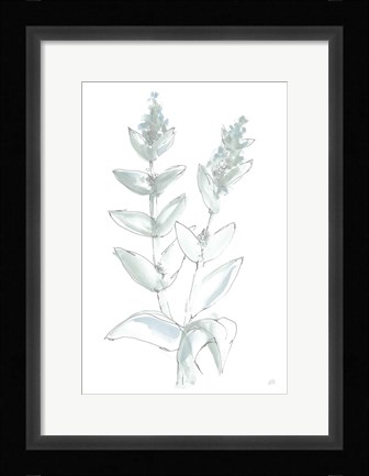 Framed Lambs Ear Sage III Bleached Print