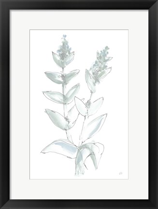 Framed Lambs Ear Sage III Bleached Print