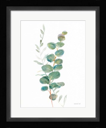 Framed Greenery III Print