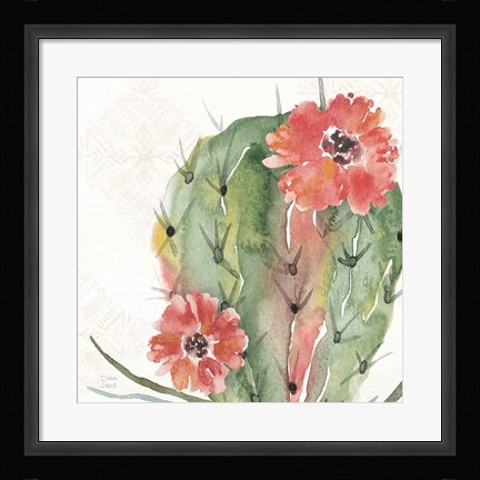 Framed Sweet Southwest V Print