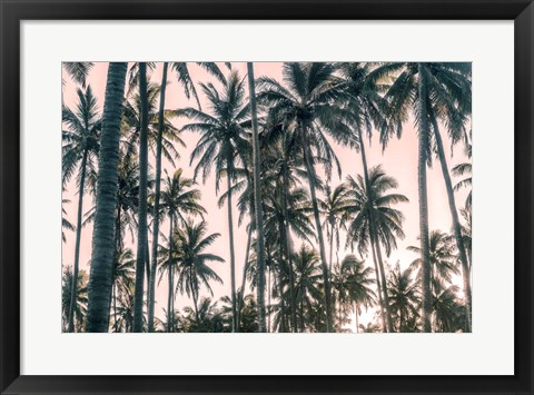Framed Palms View on Pink Sky I Print