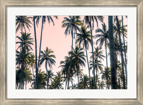 Framed Palms View on Pink Sky II Print