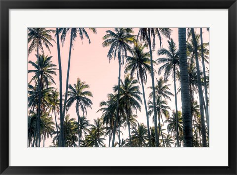 Framed Palms View on Pink Sky II Print