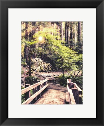 Framed Sunlight on the Forest Path Print