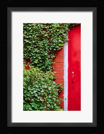 Framed Red Garden Door Print