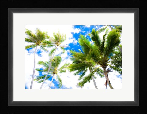 Framed Hawaii Oahu Palms Print