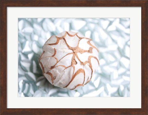 Framed Shimmer Shells I Print