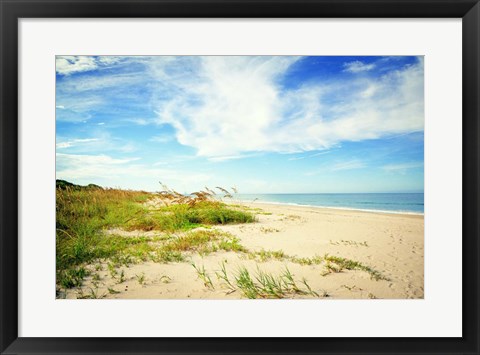 Framed Shores View Print