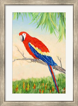 Framed Tropic Bird in Paradise I Print