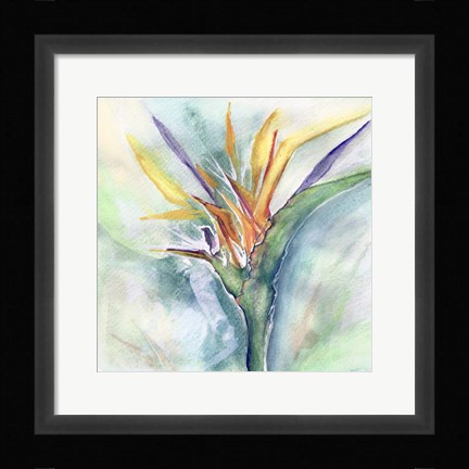 Framed Bird of Paradise I Print