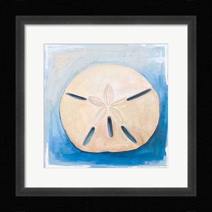Framed Sand Dollar on Blue Print