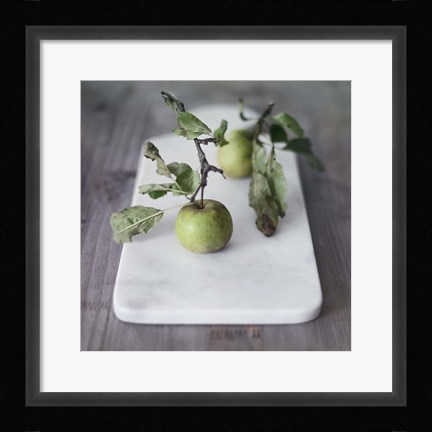 Framed Growth Begins Print