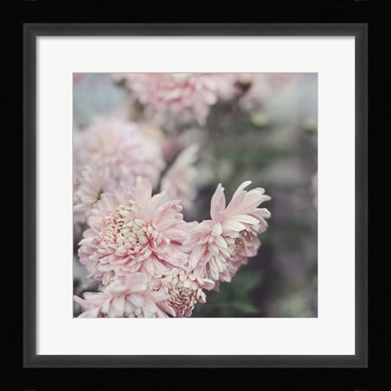 Framed Evening Blooms Print