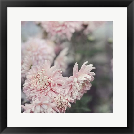 Framed Evening Blooms Print
