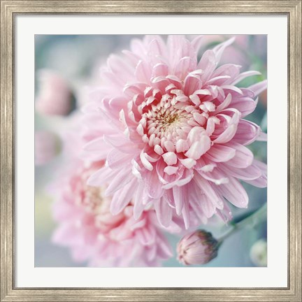 Framed Romantic Blossom Print