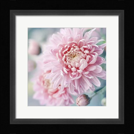 Framed Romantic Blossom Print