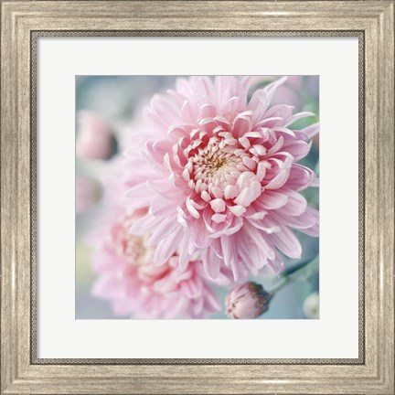Framed Romantic Blossom Print