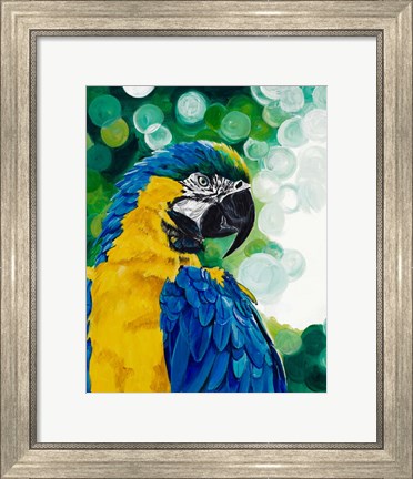 Framed Brilliant Parrot Print