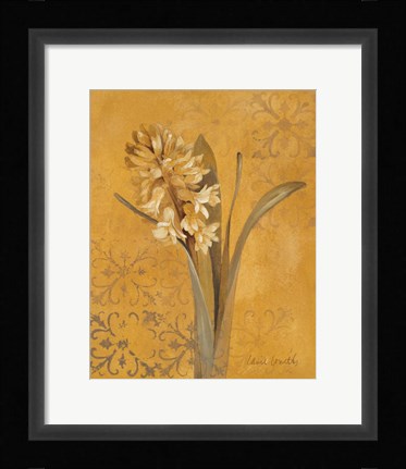 Framed Hyacinth I Print