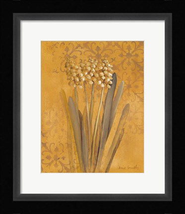 Framed Hyacinth II Print
