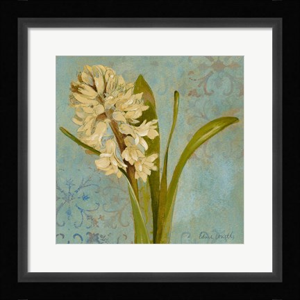 Framed Hyacinth on Teal I Print