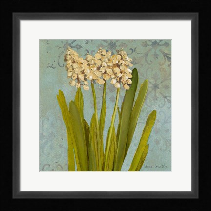 Framed Hyacinth on Teal II Print