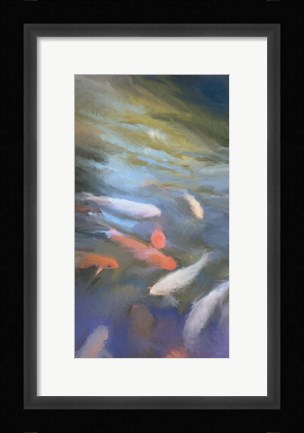 Framed Koi Pool II Print