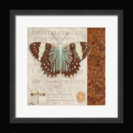 Framed Butterfly on Display II Print
