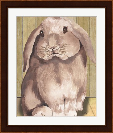 Framed Bunny II Print