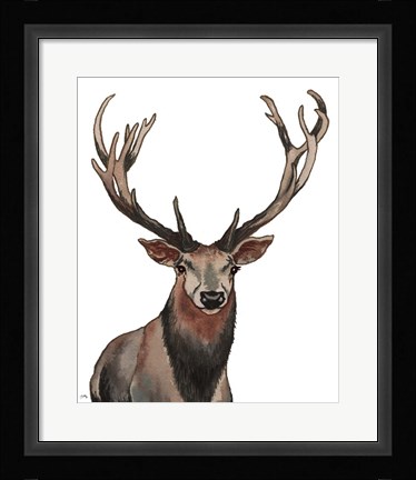 Framed Elk Print