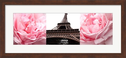 Framed Pink Roses Eiffel Tower Print