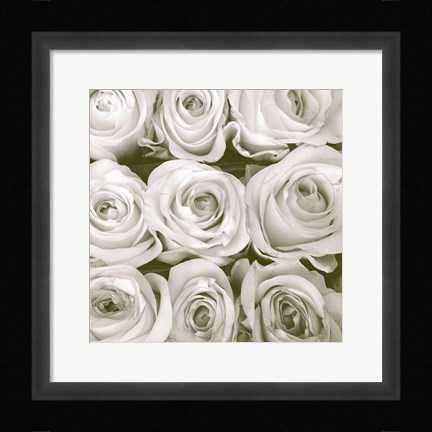 Framed Rose in Bloom Square Print