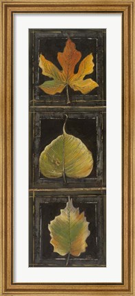 Framed Three Leaves I Print