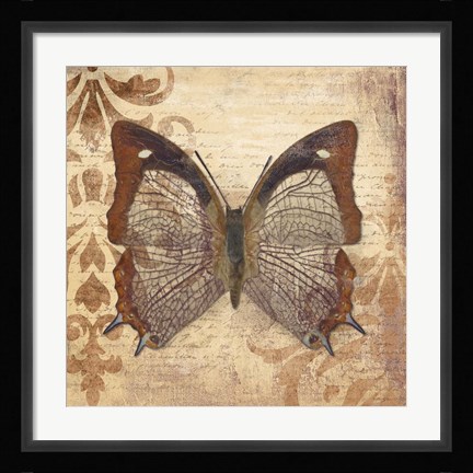 Framed Butterfly Print