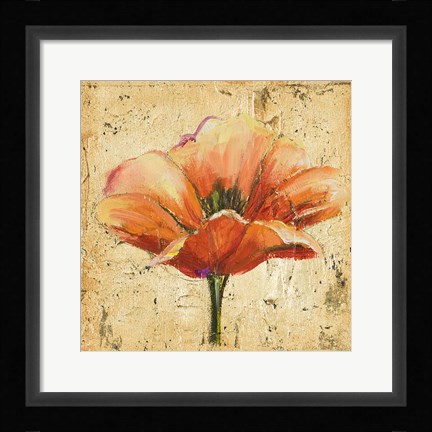 Framed Poppy III Print