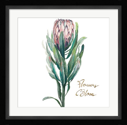 Framed Protea II Print