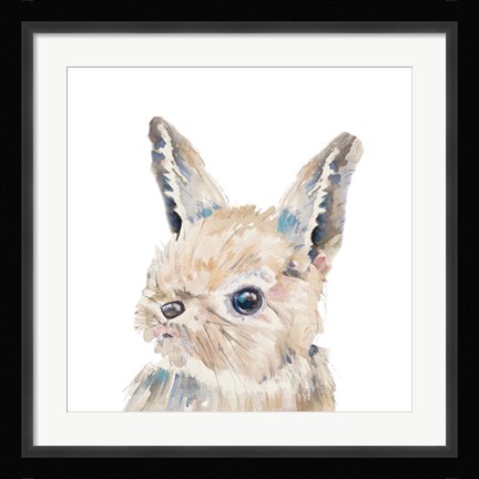 Framed Baby Bunny Close Up Print