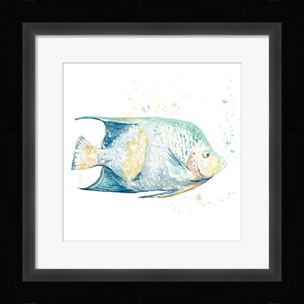 Framed Pescado Azul Square Print