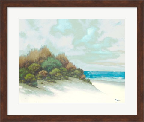 Framed Seashore I Print