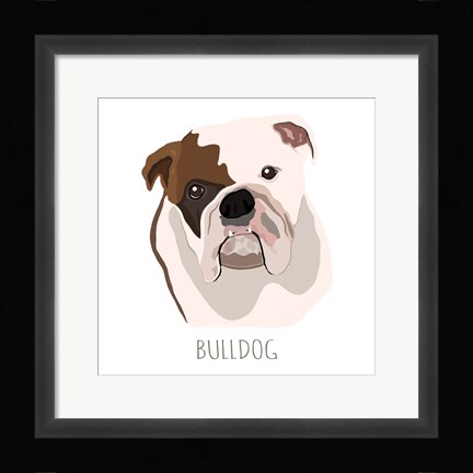 Framed Bull Dog Print