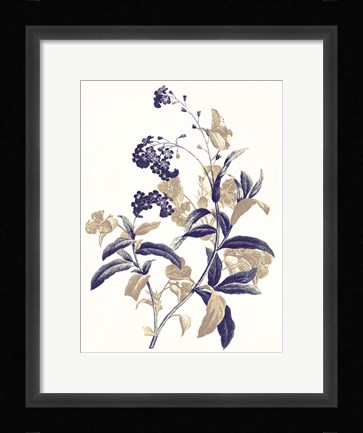 Framed Indigo Flowers Two Print