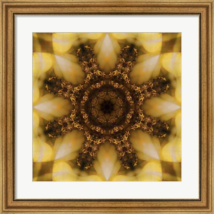 Framed Colorful Kaleidoscope 4 Print
