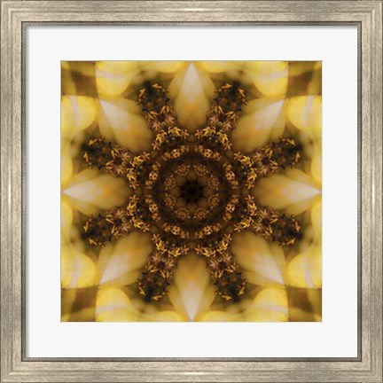Framed Colorful Kaleidoscope 4 Print