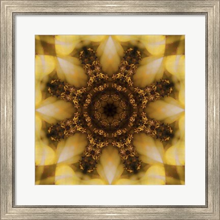 Framed Colorful Kaleidoscope 4 Print