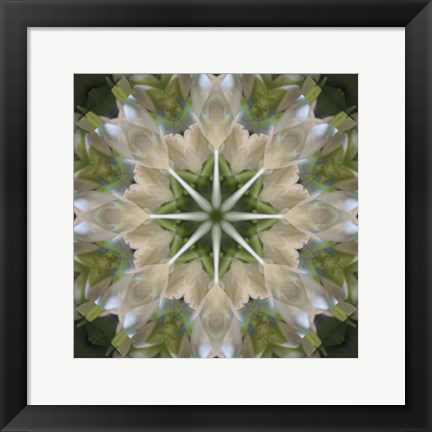 Framed Colorful Kaleidoscope 5 Print