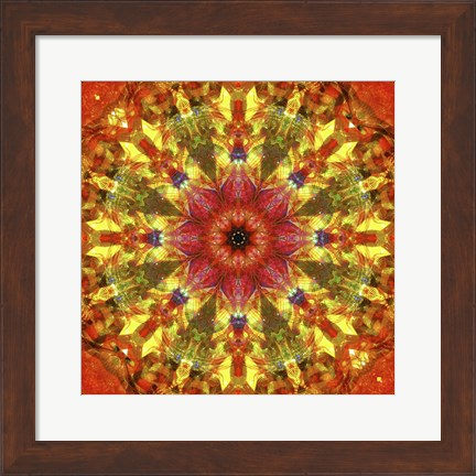 Framed Colorful Kaleidoscope 9 Print