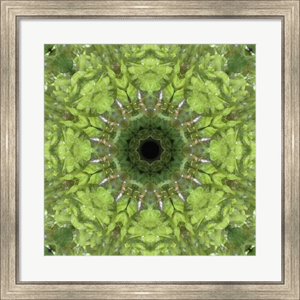 Framed Colorful Kaleidoscope 11 Print